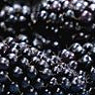 Blackberries Available from TPS Fruit and Veg, Wholesale Suppliers in Aberdeenshire and Moray of Fresh Fruit and Vegetable
