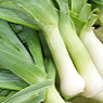Fresh Leeks Available from TPS Fruit and Veg, Wholesale Suppliers in Aberdeenshire and Moray of Fresh Fruit and Vegetable