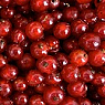 Redcurrants Available from TPS Fruit and Veg, Wholesale Suppliers in Aberdeenshire and Moray of Fresh Fruit and Vegetable