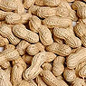 Monkey Nuts Available from TPS Fruit and Veg, Wholesale Suppliers in Aberdeenshire and Moray of Fresh Fruit and Vegetable
