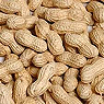 Monkey Nuts Available from TPS Fruit and Veg, Wholesale Suppliers in Aberdeenshire and Moray of Fresh Fruit and Vegetable