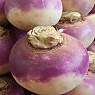Turnips Available from TPS Fruit and Veg, Wholesale Suppliers in Aberdeenshire and Moray of Fresh Fruit and Vegetable