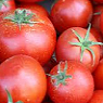 Fresh Tomatoes Available from TPS Fruit and Veg, Wholesale Suppliers in Aberdeenshire and Moray of Fresh Fruit and Vegetable
