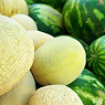 Melons Available from TPS Fruit and Veg, Wholesale Suppliers in Aberdeenshire and Moray of Fresh Fruit and Vegetable