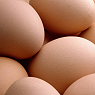 Fresh Eggs  Available from TPS Fruit and Veg, Wholesale Suppliers in Aberdeenshire and Moray of Fresh Fruit and Vegetables