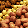 Potatoes Available from TPS Fruit and Veg, Wholesale Suppliers in Aberdeenshire and Moray of Fresh Fruit and Vegetable