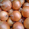 Onions Available from TPS Fruit and Veg, Wholesale Suppliers in Aberdeenshire and Moray of Fresh Fruit and Vegetable
