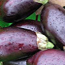 Aubergines Available from TPS Fruit and Veg, Wholesale Suppliers in Aberdeenshire and Moray of Fresh Fruit and Vegetable