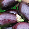 Aubergines Available from TPS Fruit and Veg, Wholesale Suppliers in Aberdeenshire and Moray of Fresh Fruit and Vegetable Aubergines Available from TPS Fruit and Veg, Wholesale Suppliers in Aberdeenshire and Moray of Fresh Fruit and Vegetable