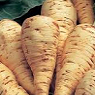 Fresh Parsnips Available from TPS Fruit and Veg, Wholesale Suppliers in Aberdeenshire and Moray of Fresh Fruit and Vegetable