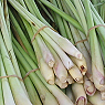 Fresh lemon Grass Available from TPS Fruit and Veg, Wholesale Suppliers in Aberdeenshire and Moray of Fresh Fruit and Vegetable