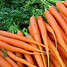 Fresh Carrots Available from TPS Fruit and Veg, Wholesale Suppliers in Aberdeenshire and Moray of Fresh Fruit and Vegetable