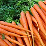 Fresh Carrots Available from TPS Fruit and Veg, Wholesale Suppliers in Aberdeenshire and Moray of Fresh Fruit and Vegetable Fresh Carrots Available from TPS Fruit and Veg, Wholesale Suppliers in Aberdeenshire and Moray of Fresh Fruit and Vegetable
