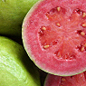 Guava Available from TPS Fruit and Veg, Wholesale Suppliers in Aberdeenshire and Moray of Fresh Fruit and Vegetable