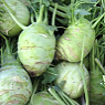 Kholrabi Available from TPS Fruit and Veg, Wholesale Suppliers in Aberdeenshire and Moray of Fresh Fruit and Vegetable Kholrabi Available from TPS Fruit and Veg, Wholesale Suppliers in Aberdeenshire and Moray of Fresh Fruit and Vegetable