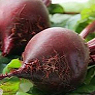 Beetroot Available from TPS Fruit and Veg, Wholesale Suppliers in Aberdeenshire and Moray of Fresh Fruit and Vegetable
