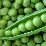 Fresh Garden Peas Available from TPS Fruit and Veg, Wholesale Suppliers in Aberdeenshire and Moray of Fresh Fruit and Vegetable