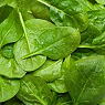 Fresh Spinach Available from TPS Fruit and Veg, Wholesale Suppliers in Aberdeenshire and Moray of Fresh Fruit and Vegetable