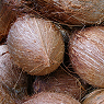 Coconuts Available from TPS Fruit and Veg, Wholesale Suppliers in Aberdeenshire and Moray of Fresh Fruit and Vegetable