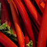 Rhubarb Available from TPS Fruit and Veg, Wholesale Suppliers in Aberdeenshire and Moray of Fresh Fruit and Vegetable