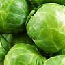 Brussel Sprouts Available from TPS Fruit and Veg, Wholesale Suppliers in Aberdeenshire and Moray of Fresh Fruit and Vegetable
