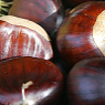 Chestnuts Available from TPS Fruit and Veg, Wholesale Suppliers in Aberdeenshire and Moray of Fresh Fruit and Vegetable